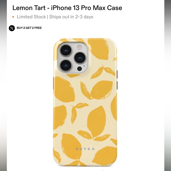 BURGA iPhone 13 Pro Max Cases - Picture 2 of 4